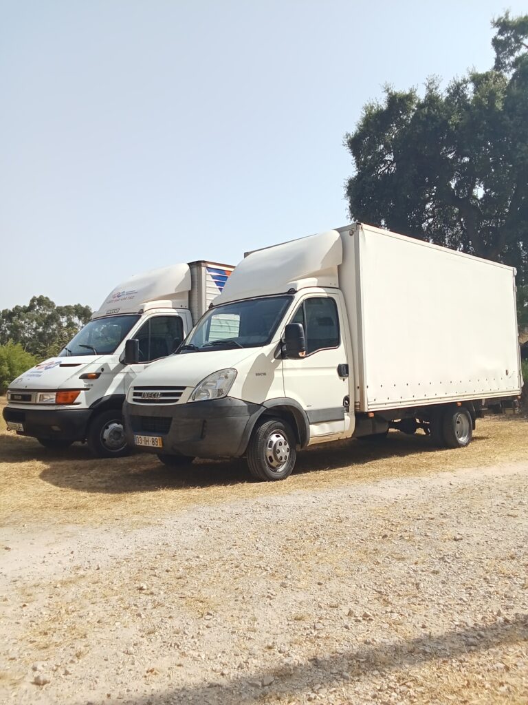 D2 Mudanças e Transportes